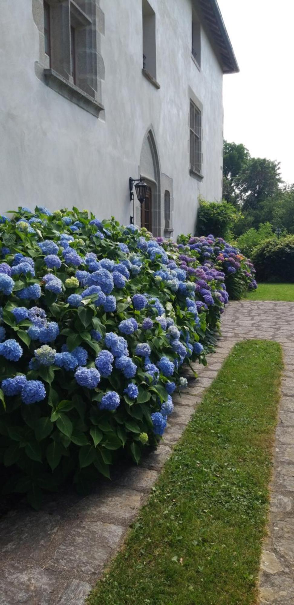 Manoir XV Domaine De Peyrafort Tulle Buitenkant foto
