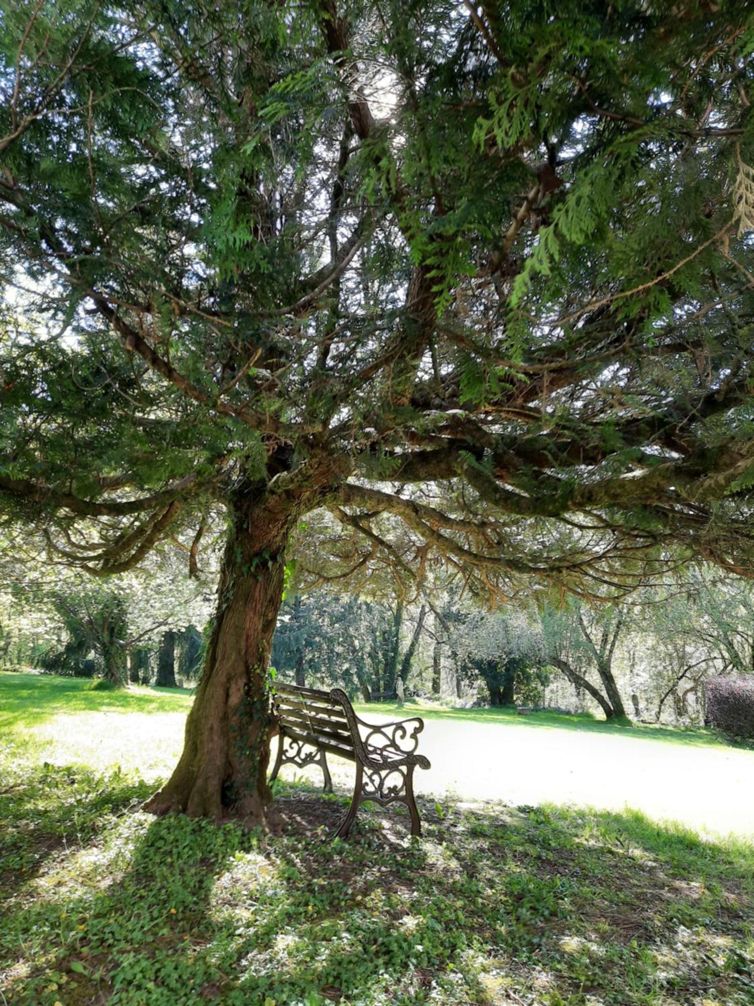 Manoir XV Domaine De Peyrafort Tulle Buitenkant foto